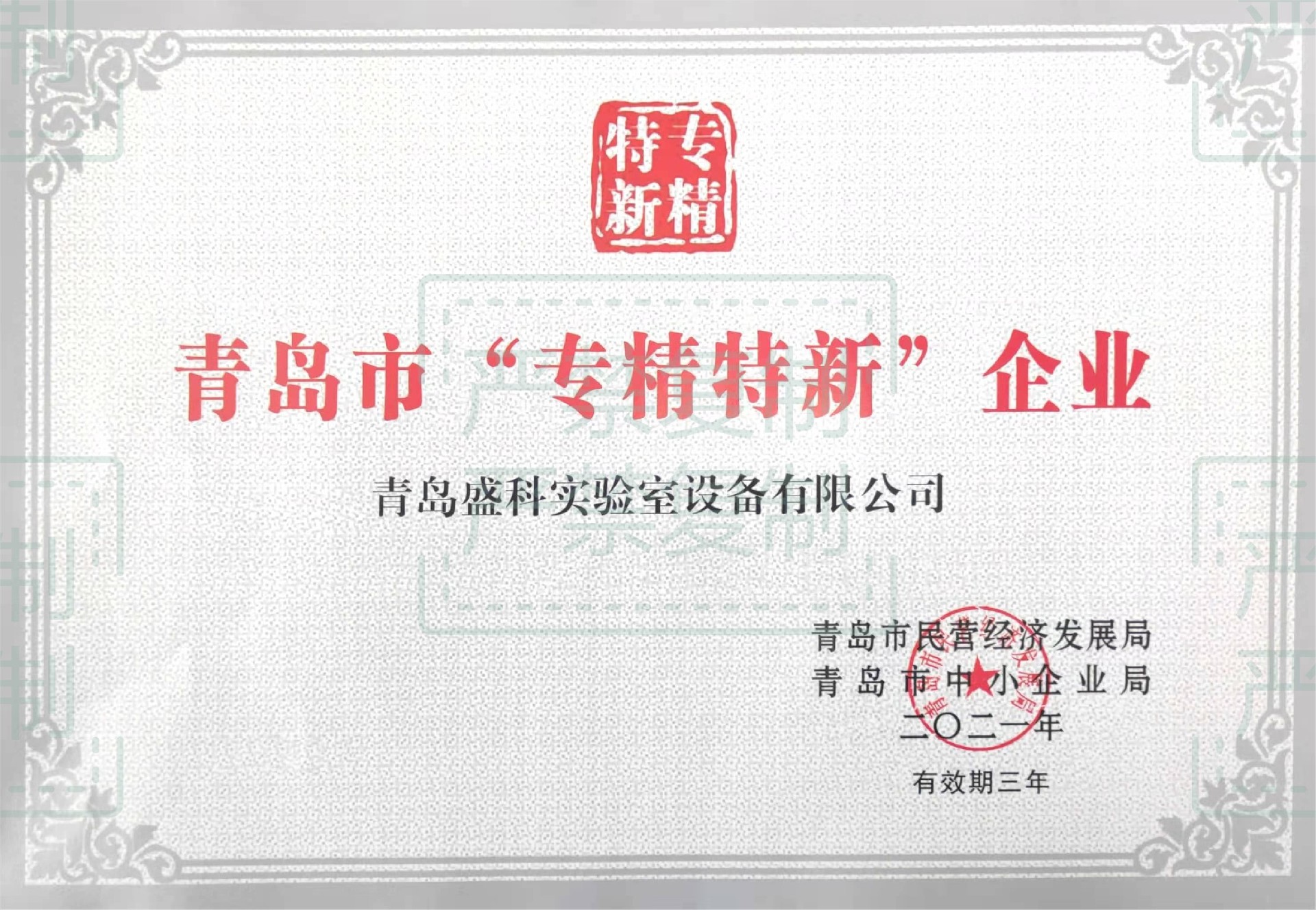 專精特新.jpg